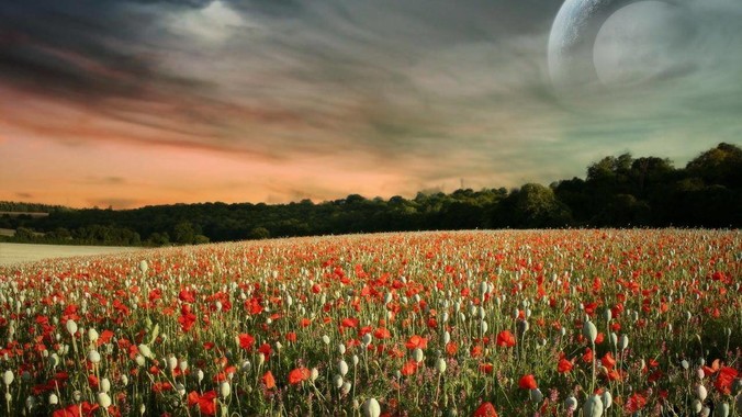 你怎么看待剪映收费过高问题？